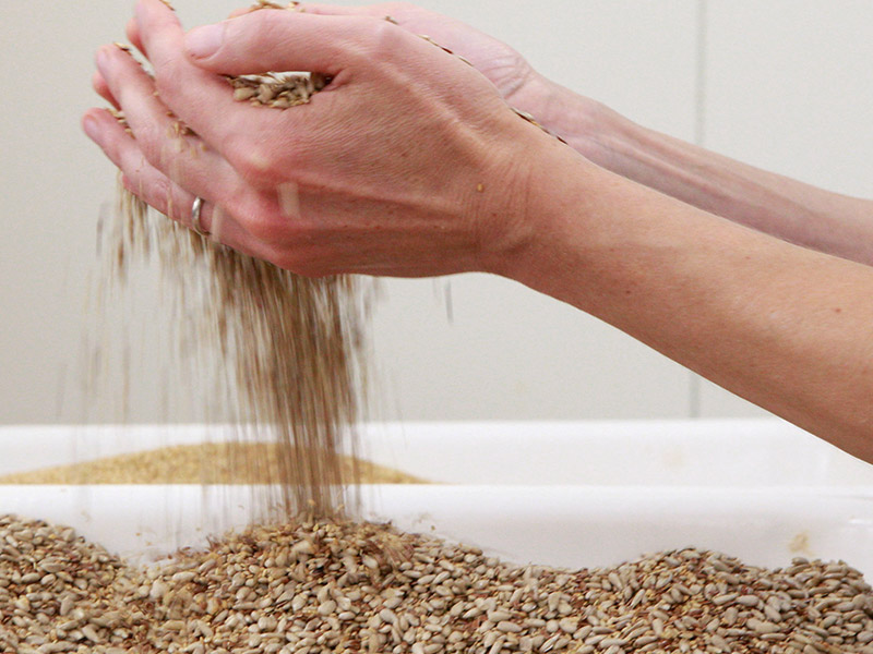 Biscuiterie artisanale bio Vanig & Délices dans la Drôme